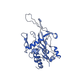 28993_8fcu_H_v1-3
Cryo-EM structure of Cascade-DNA-TniQ-TnsC complex in type I-B CAST system