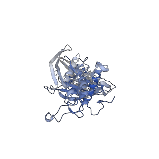 28993_8fcu_I_v1-3
Cryo-EM structure of Cascade-DNA-TniQ-TnsC complex in type I-B CAST system
