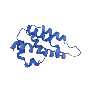 28993_8fcu_J_v1-3
Cryo-EM structure of Cascade-DNA-TniQ-TnsC complex in type I-B CAST system
