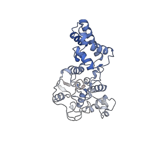 28993_8fcu_P_v1-3
Cryo-EM structure of Cascade-DNA-TniQ-TnsC complex in type I-B CAST system