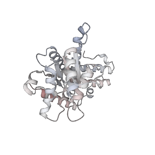 28993_8fcu_Q_v1-3
Cryo-EM structure of Cascade-DNA-TniQ-TnsC complex in type I-B CAST system