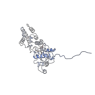 28994_8fcv_P_v1-3
Cryo-EM structure of TnsC-TniQ-DNA complex in type I-B CAST system