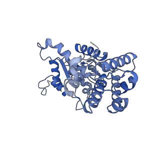 28994_8fcv_Q_v1-3
Cryo-EM structure of TnsC-TniQ-DNA complex in type I-B CAST system