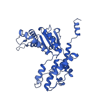 28994_8fcv_R_v1-3
Cryo-EM structure of TnsC-TniQ-DNA complex in type I-B CAST system
