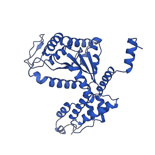 28994_8fcv_S_v1-3
Cryo-EM structure of TnsC-TniQ-DNA complex in type I-B CAST system