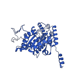 28994_8fcv_U_v1-3
Cryo-EM structure of TnsC-TniQ-DNA complex in type I-B CAST system