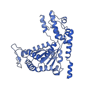28994_8fcv_V_v1-3
Cryo-EM structure of TnsC-TniQ-DNA complex in type I-B CAST system
