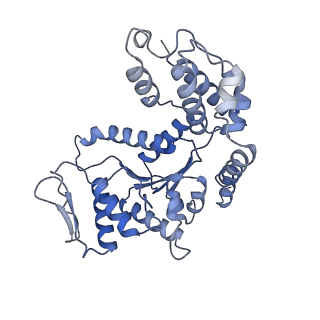 28994_8fcv_W_v1-3
Cryo-EM structure of TnsC-TniQ-DNA complex in type I-B CAST system
