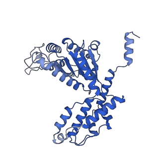 28997_8fcw_S_v1-3
Cryo-EM structure of TnsC-DNA complex in type I-B CAST system