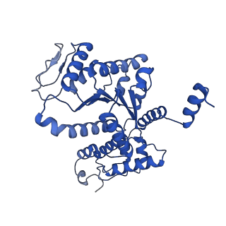 28997_8fcw_T_v1-3
Cryo-EM structure of TnsC-DNA complex in type I-B CAST system