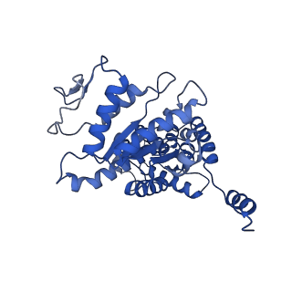28997_8fcw_U_v1-3
Cryo-EM structure of TnsC-DNA complex in type I-B CAST system