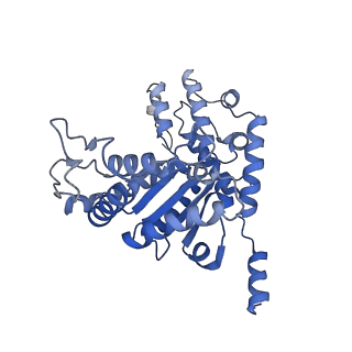 28997_8fcw_V_v1-3
Cryo-EM structure of TnsC-DNA complex in type I-B CAST system