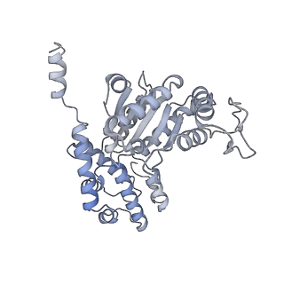 28998_8fcx_R_v1-3
Cryo-EM structure of TnsC oligomer in type I-B CAST system