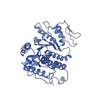 28998_8fcx_T_v1-3
Cryo-EM structure of TnsC oligomer in type I-B CAST system