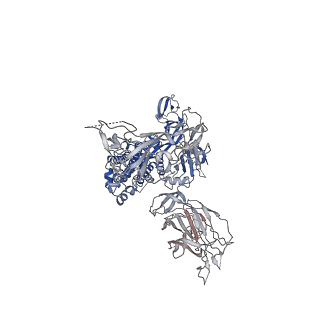 31524_7fcd_A_v1-1
Structure of the SARS-CoV-2 A372T spike glycoprotein (open)