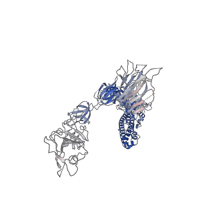 31524_7fcd_B_v1-1
Structure of the SARS-CoV-2 A372T spike glycoprotein (open)