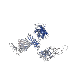 31524_7fcd_C_v1-1
Structure of the SARS-CoV-2 A372T spike glycoprotein (open)