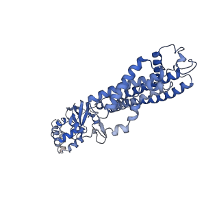 31532_7fcv_A_v1-1
Cryo-EM structure of the Potassium channel AKT1 mutant from Arabidopsis thaliana