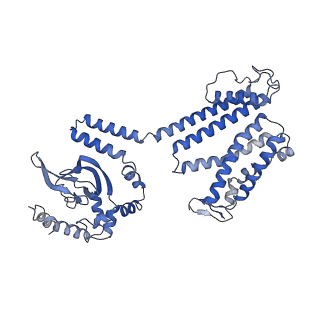 31532_7fcv_B_v1-1
Cryo-EM structure of the Potassium channel AKT1 mutant from Arabidopsis thaliana
