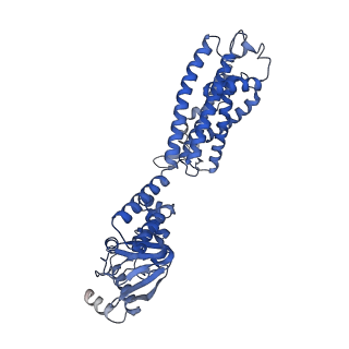 31532_7fcv_C_v1-1
Cryo-EM structure of the Potassium channel AKT1 mutant from Arabidopsis thaliana