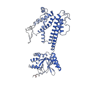31532_7fcv_D_v1-1
Cryo-EM structure of the Potassium channel AKT1 mutant from Arabidopsis thaliana