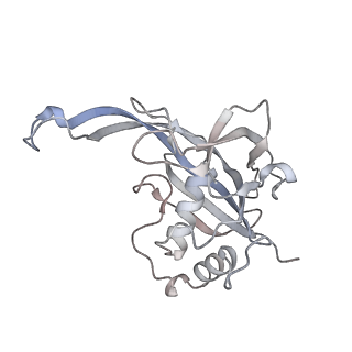 29000_8fd2_A_v1-3
Cryo-EM structure of Cascade complex in type I-B CAST system