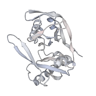 29000_8fd2_B_v1-3
Cryo-EM structure of Cascade complex in type I-B CAST system
