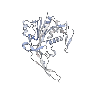 29000_8fd2_C_v1-3
Cryo-EM structure of Cascade complex in type I-B CAST system