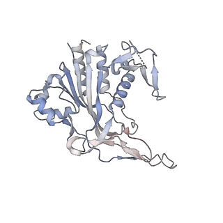 29000_8fd2_D_v1-3
Cryo-EM structure of Cascade complex in type I-B CAST system