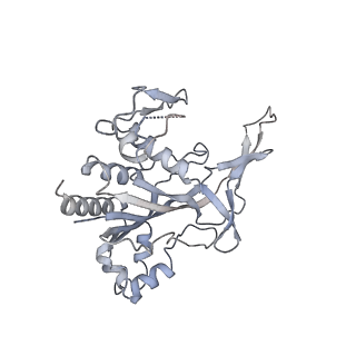 29000_8fd2_F_v1-3
Cryo-EM structure of Cascade complex in type I-B CAST system