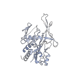 29000_8fd2_G_v1-3
Cryo-EM structure of Cascade complex in type I-B CAST system