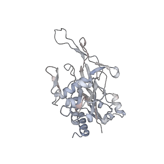 29000_8fd2_H_v1-3
Cryo-EM structure of Cascade complex in type I-B CAST system