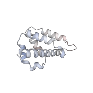 29000_8fd2_J_v1-3
Cryo-EM structure of Cascade complex in type I-B CAST system