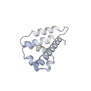 29000_8fd2_K_v1-3
Cryo-EM structure of Cascade complex in type I-B CAST system