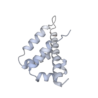 29000_8fd2_L_v1-3
Cryo-EM structure of Cascade complex in type I-B CAST system