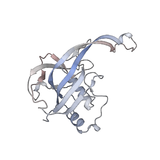 29001_8fd3_A_v1-3
Cryo-EM structure of Cascade-PAM complex in type I-B CAST system