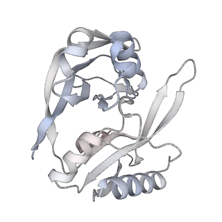 29001_8fd3_B_v1-3
Cryo-EM structure of Cascade-PAM complex in type I-B CAST system