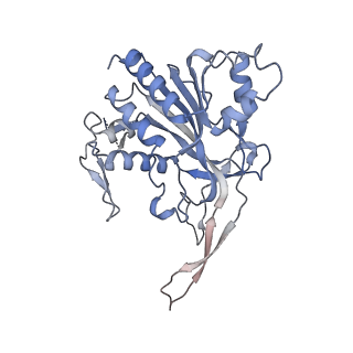 29001_8fd3_C_v1-3
Cryo-EM structure of Cascade-PAM complex in type I-B CAST system