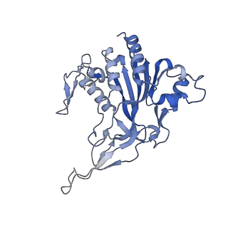29001_8fd3_D_v1-3
Cryo-EM structure of Cascade-PAM complex in type I-B CAST system