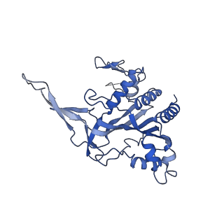 29001_8fd3_F_v1-3
Cryo-EM structure of Cascade-PAM complex in type I-B CAST system