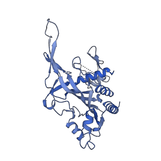 29001_8fd3_G_v1-3
Cryo-EM structure of Cascade-PAM complex in type I-B CAST system