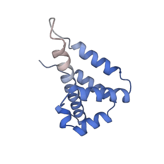 29001_8fd3_L_v1-3
Cryo-EM structure of Cascade-PAM complex in type I-B CAST system