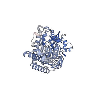 31538_7fda_A_v1-0
CryoEM Structure of Reconstituted V-ATPase, state1