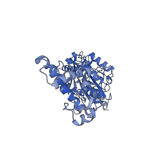 31538_7fda_B_v1-0
CryoEM Structure of Reconstituted V-ATPase, state1