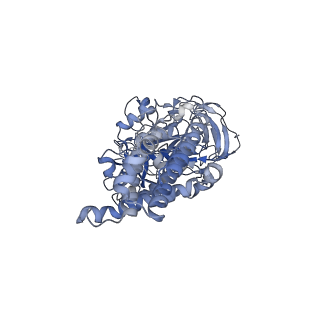 31538_7fda_C_v1-0
CryoEM Structure of Reconstituted V-ATPase, state1
