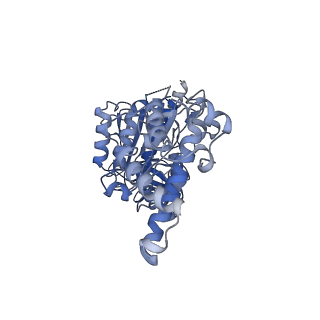 31538_7fda_D_v1-0
CryoEM Structure of Reconstituted V-ATPase, state1