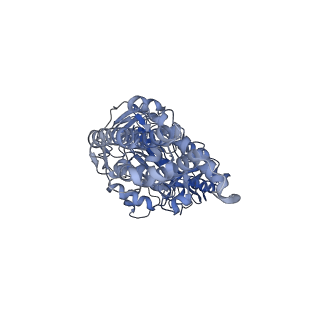 31538_7fda_E_v1-0
CryoEM Structure of Reconstituted V-ATPase, state1