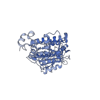 31538_7fda_F_v1-0
CryoEM Structure of Reconstituted V-ATPase, state1