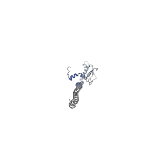 31538_7fda_G_v1-0
CryoEM Structure of Reconstituted V-ATPase, state1