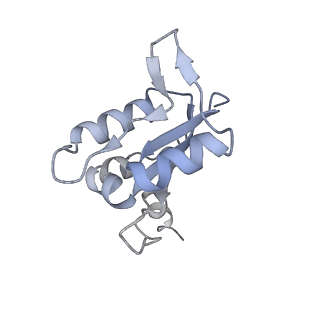 31538_7fda_N_v1-0
CryoEM Structure of Reconstituted V-ATPase, state1